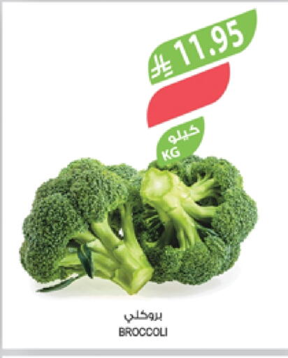 Broccoli available at Farm  in KSA, Saudi Arabia, Saudi - Al Hasa