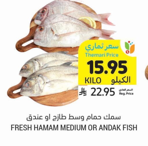 available at أسواق التميمي in مملكة العربية السعودية, السعودية, سعودية - تبوك