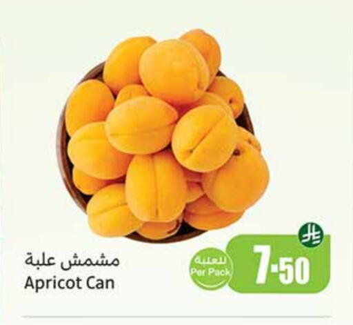 Apricot available at Othaim Markets in KSA, Saudi Arabia, Saudi - Rafha