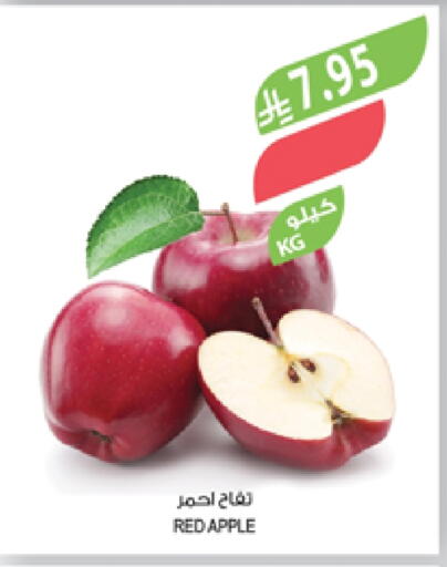Apples available at Farm  in KSA, Saudi Arabia, Saudi - Khafji