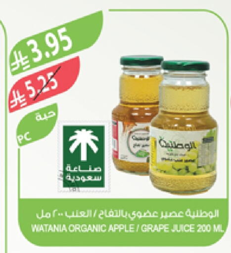 Apple available at Farm  in KSA, Saudi Arabia, Saudi - Khafji