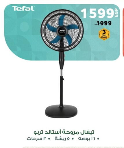 Small Appliances in Panda , Egypt Offers - Egypt Fan available at Panda in Egypt - Cairo