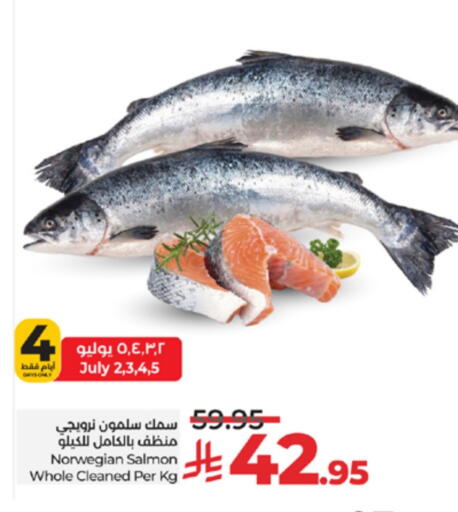 available at لولو هايبرماركت in مملكة العربية السعودية, السعودية, سعودية - تبوك