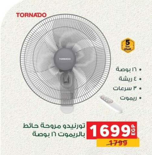 Small Appliances in Panda , Egypt Offers - Egypt Fan available at Panda in Egypt - Cairo