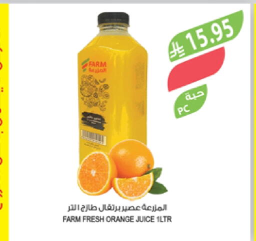 Orange available at Farm  in KSA, Saudi Arabia, Saudi - Abha