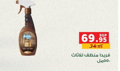 General Cleaner available at Panda  in Egypt - Cairo
