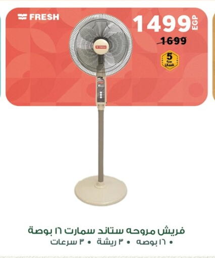 Small Appliances in Panda , Egypt Offers - Egypt FRESH Fan available at Panda in Egypt - Cairo