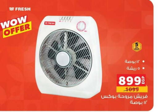Small Appliances in Panda , Egypt Offers - Egypt FRESH Fan available at Panda in Egypt - Cairo