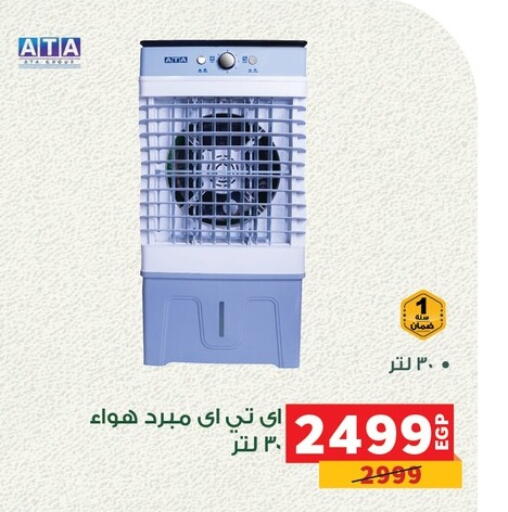 Small Appliances in Panda , Egypt Offers - Egypt available at Panda in Egypt - Cairo