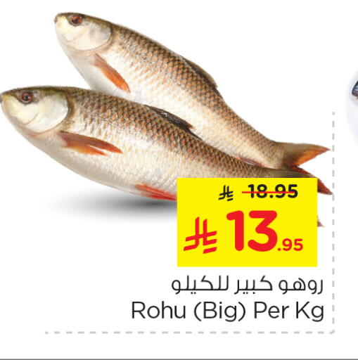 available at نستو in مملكة العربية السعودية, السعودية, سعودية - الخرج