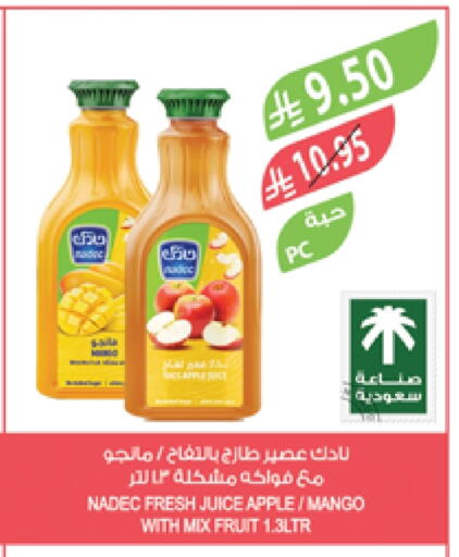 NADEC available at Farm  in KSA, Saudi Arabia, Saudi - Tabuk
