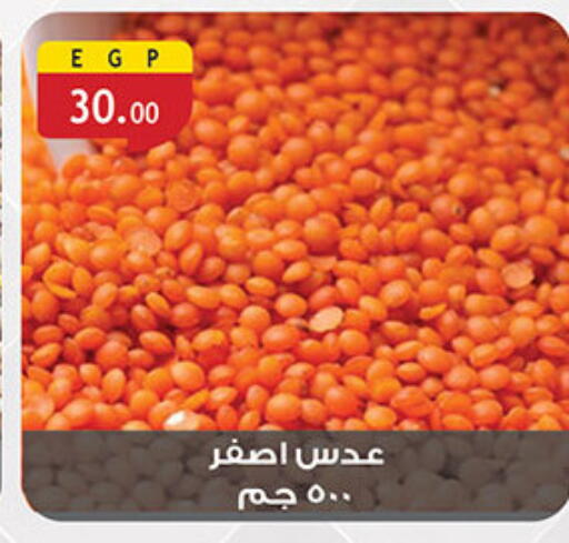 available at Al Rayah Market   in Egypt - Cairo
