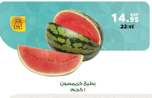 Watermelon available at Panda  in Egypt - Cairo