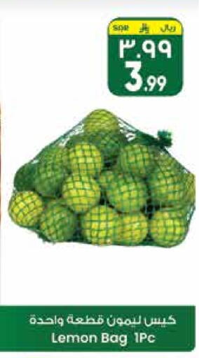 lemon available at City Flower in KSA, Saudi Arabia, Saudi - Riyadh