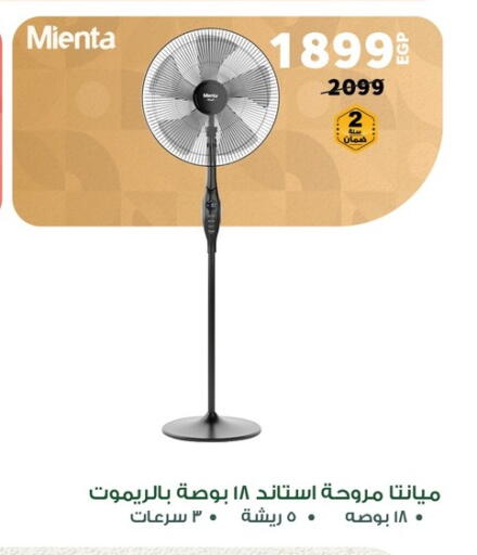 Small Appliances in Panda , Egypt Offers - Egypt Fan available at Panda in Egypt - Cairo