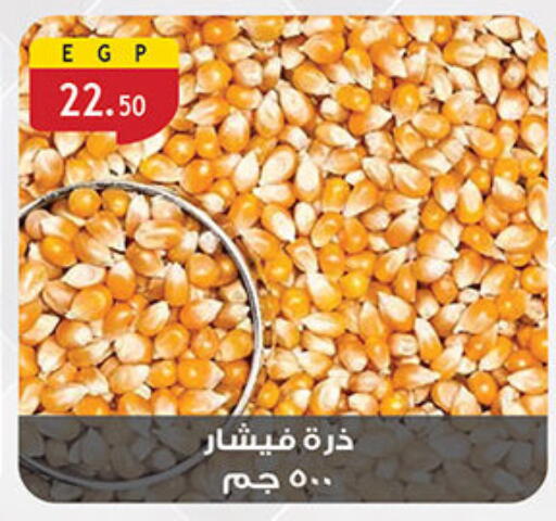 available at Al Rayah Market   in Egypt - Cairo