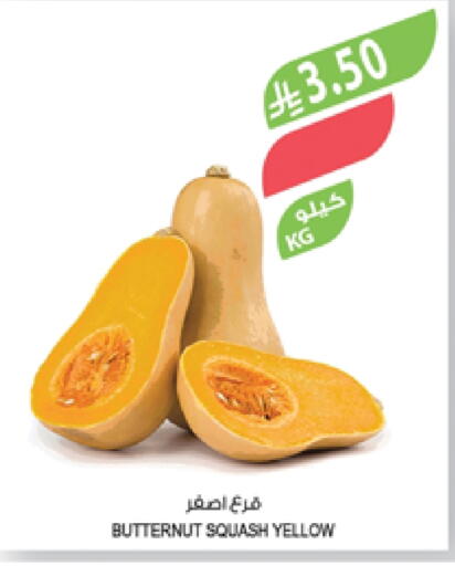 Squash available at Farm  in KSA, Saudi Arabia, Saudi - Al Hasa