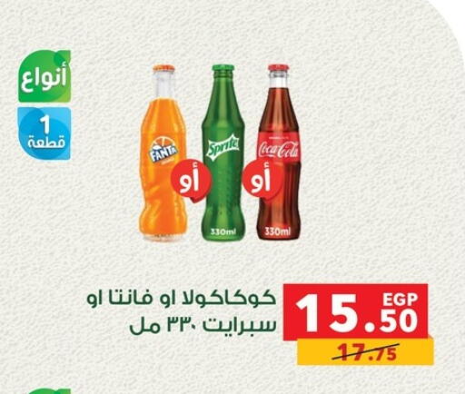 available at Panda  in Egypt - Cairo