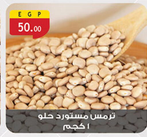 available at Al Rayah Market   in Egypt - Cairo
