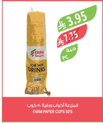 Cup available at Farm  in KSA, Saudi Arabia, Saudi - Abha