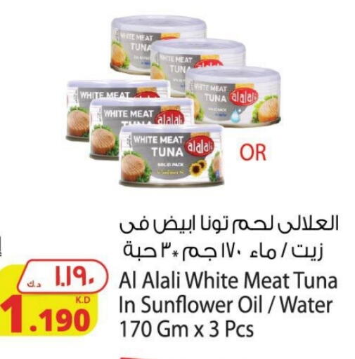 العلالي تونة - معلب available at شركة المنتجات الزراعية الغذائية in الكويت - محافظة الجهراء