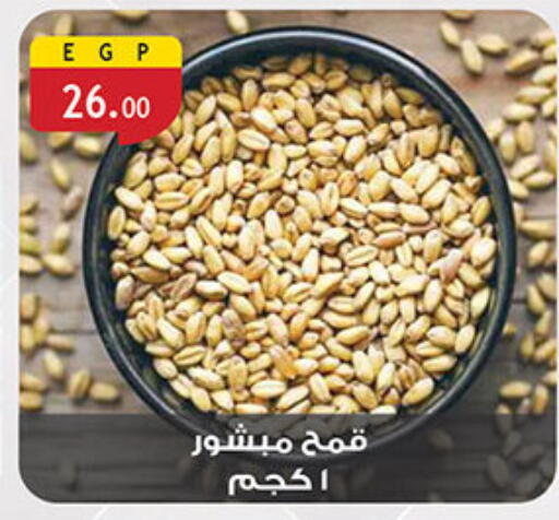 available at Al Rayah Market   in Egypt - Cairo
