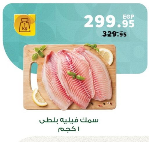 available at بنده in Egypt - القاهرة