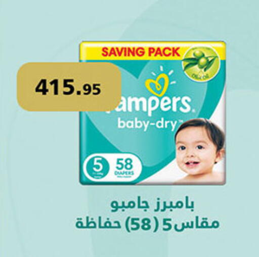 Pampers available at Al Rayah Market   in Egypt - Cairo