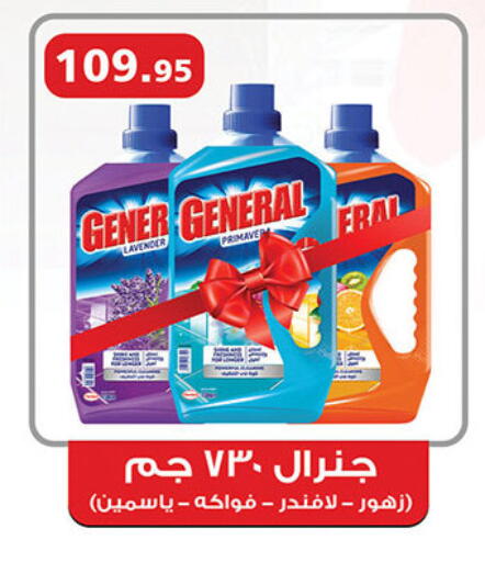 General Cleaner available at Al Rayah Market   in Egypt - Cairo