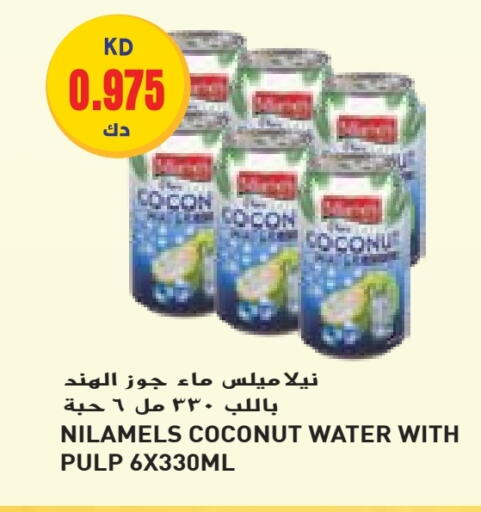 Coconut available at Grand Costo in Kuwait - Ahmadi Governorate