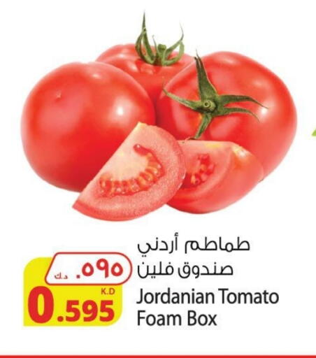 Tomato from Jordan available at Agricultural Food Products Co. in Kuwait - Jahra Governorate
