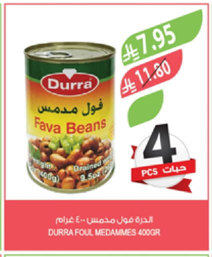 DURRA Fava Beans available at Farm  in KSA, Saudi Arabia, Saudi - Al Khobar