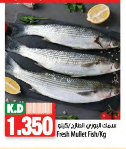 Mango available at Mango Hypermarket  in Kuwait - Kuwait City