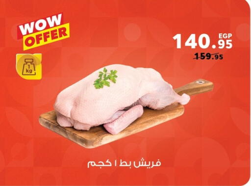 Meat - Fresh & Chilled in Panda , Egypt Offers - Egypt available at Panda in Egypt - Cairo