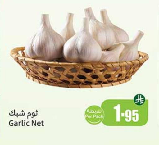 Fresh Vegetables in Othaim Markets, Saudi Arabia Offers - Saudi Arabia Garlic available at Othaim Markets in KSA, Saudi Arabia, Saudi - Al Majmaah