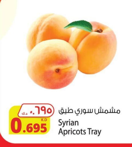 from Syria available at Agricultural Food Products Co. in Kuwait - Kuwait City