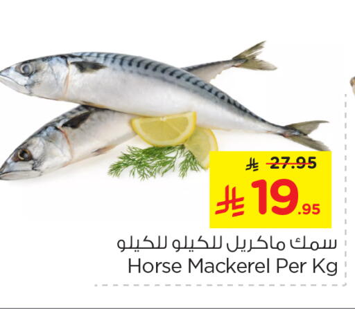 available at نستو in مملكة العربية السعودية, السعودية, سعودية - الخرج