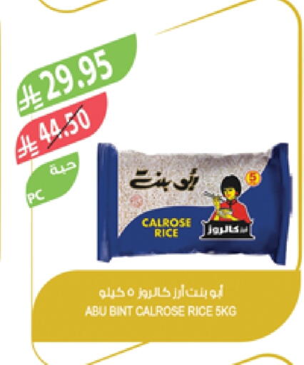 ABU BINT Calrose Rice available at Farm  in KSA, Saudi Arabia, Saudi - Al-Kharj