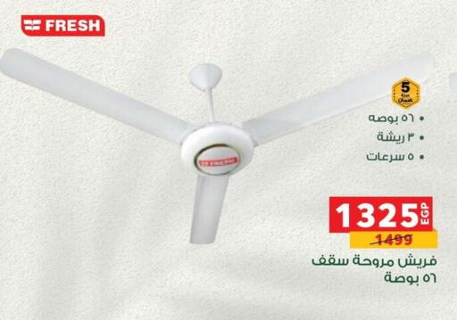 Small Appliances in Panda , Egypt Offers - Egypt FRESH Fan available at Panda in Egypt - Cairo