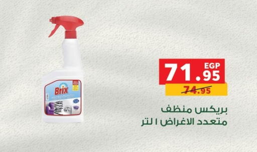 General Cleaner available at Panda  in Egypt - Cairo