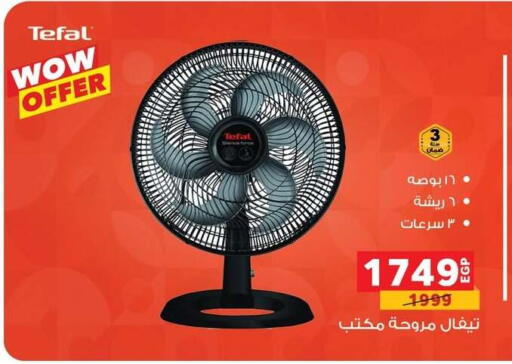 Small Appliances in Panda , Egypt Offers - Egypt Fan available at Panda in Egypt - Cairo