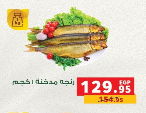 available at بنده in Egypt - القاهرة