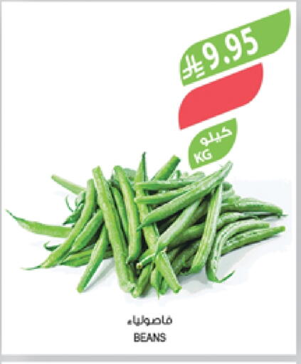 Beans available at Farm  in KSA, Saudi Arabia, Saudi - Al Khobar