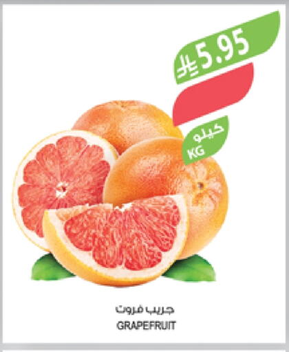 available at Farm  in KSA, Saudi Arabia, Saudi - Khafji