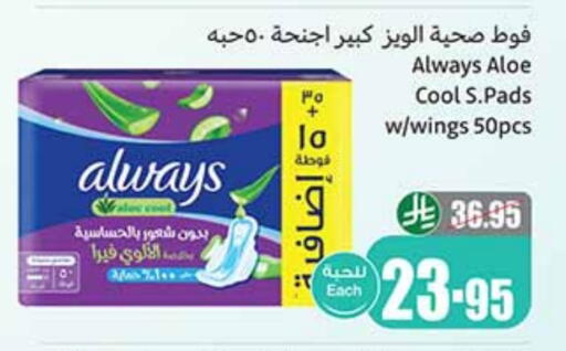 ألويز available at أسواق عبد الله العثيم in مملكة العربية السعودية, السعودية, سعودية - رفحاء