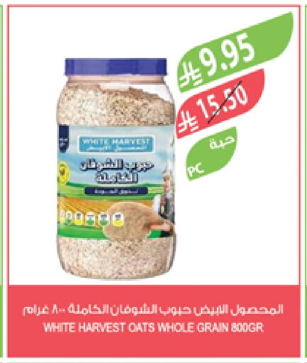 Oats available at Farm  in KSA, Saudi Arabia, Saudi - Jubail