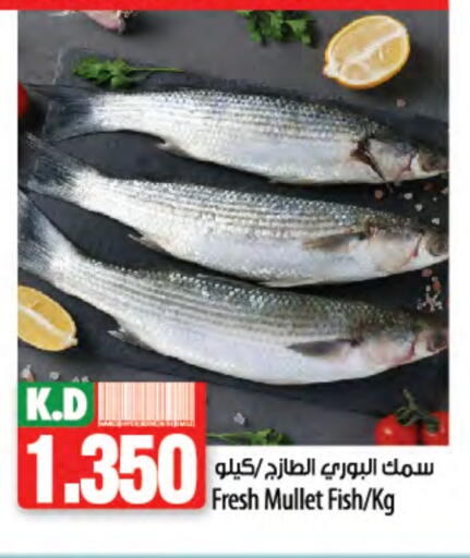 Mango available at Mango Hypermarket  in Kuwait - Kuwait City