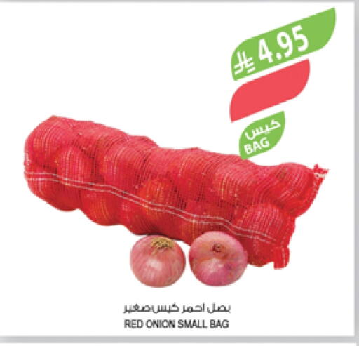 Onion available at Farm  in KSA, Saudi Arabia, Saudi - Tabuk