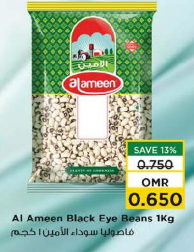 AL AMEEN available at Nesto Hyper Market   in Oman - Sohar