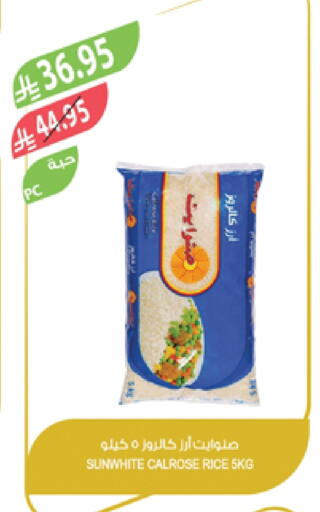 Calrose Rice available at Farm  in KSA, Saudi Arabia, Saudi - Al-Kharj